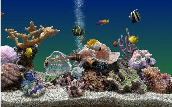 热带鱼水族箱屏幕保护3D,热带鱼水族箱屏幕保护3D下载